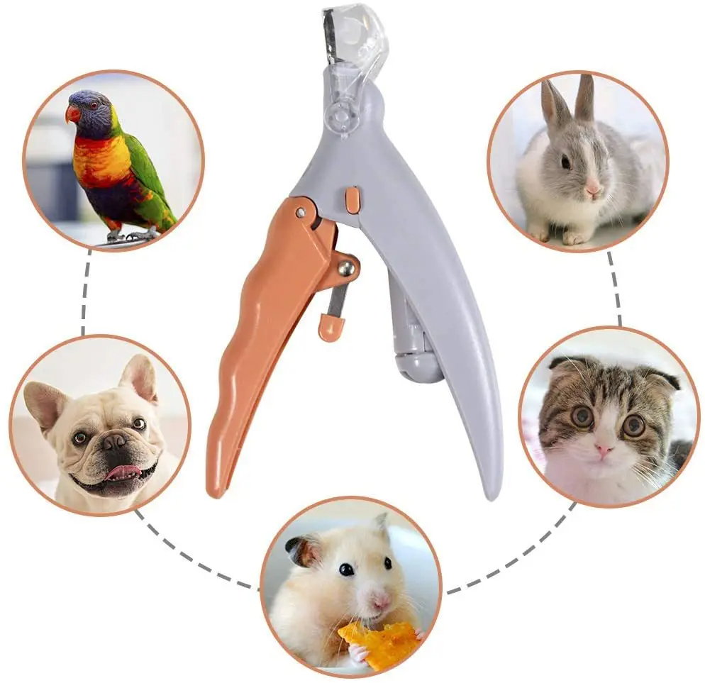Grooming Scissors - LED Işıklı Kediler ve Köpekler için
