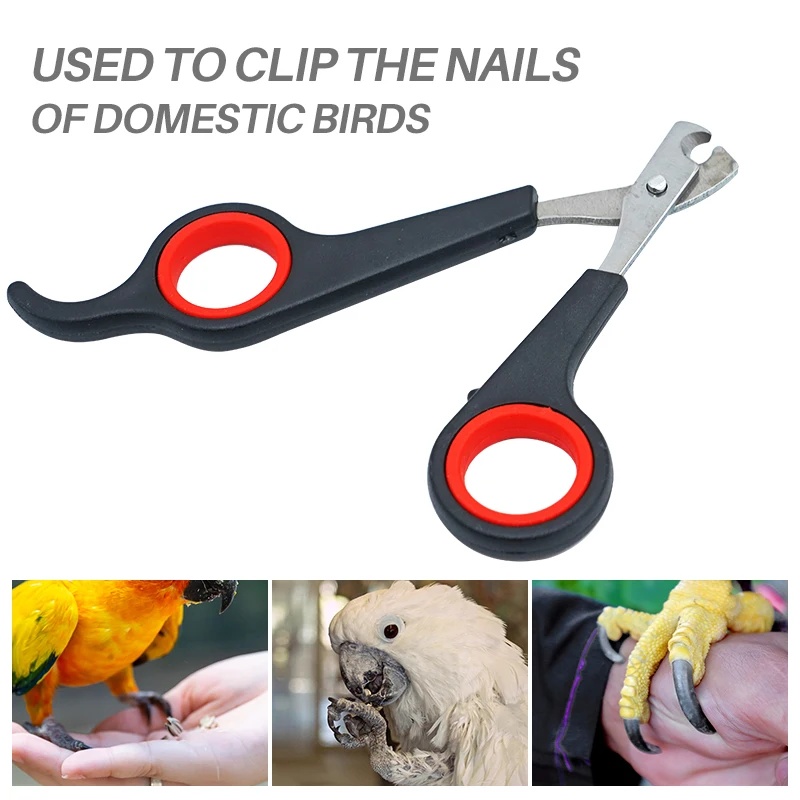 12cm Evcil Hayvan Papağan Tırn - Grooming Scissors incelemesi ve fiyatı