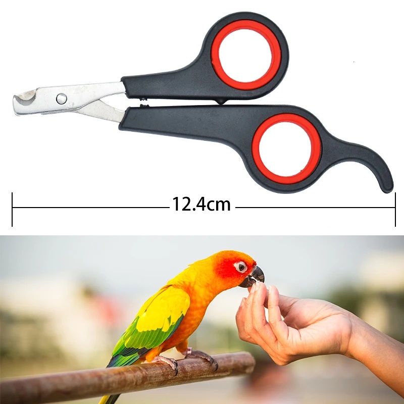 12cm Evcil Hayvan Papağan Tırn - Grooming Scissors incelemesi ve fiyatı