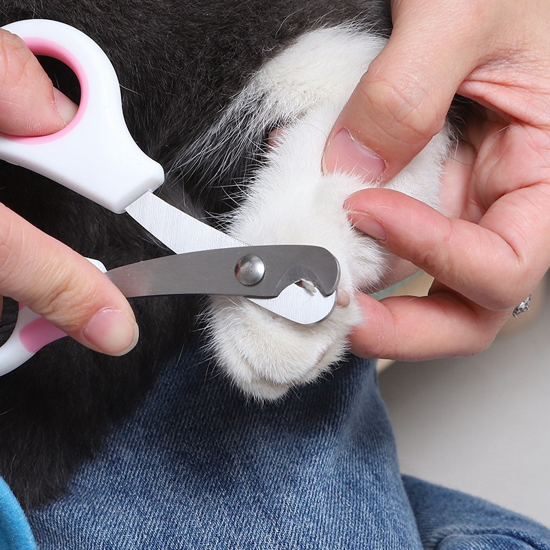Evcil Hayvan Tırnak Bakım Maka - Grooming Scissors incelemesi ve fiyatı